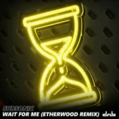 Обложка трека Wait For Me (Etherwood Remix)