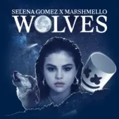 Обложка трека Wolves (TCM Hardstyle Remix)