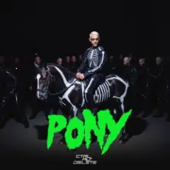 Обложка трека Pony