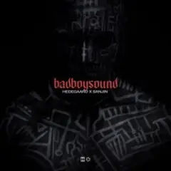 HEDEGAARD & Sanjin — badboysound