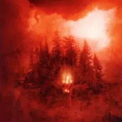Tarja Turunen — You Would Have Love This
