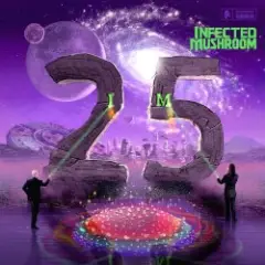 Обложка трека Disco Mushroom