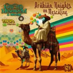 Обложка трека Arabian Knights On Mescaline