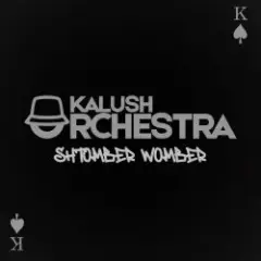 Обложка трека Shtomber Womber (Kalush Orchestra)