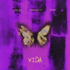 Обложка трека Vida