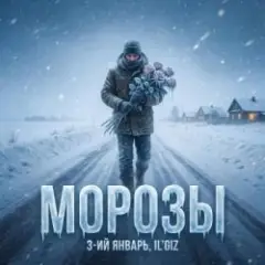 Обложка трека Морозы