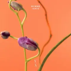 Обложка трека Time (Something To You)