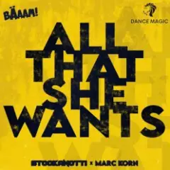 Обложка трека All That She Wants