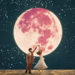 Обложка трека Ordinary (Wedding Version)