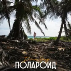 Обложка трека Полароид (Remix)