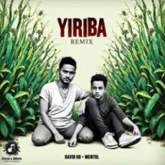 Обложка трека Yiriba (Remix)