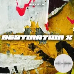 Обложка трека Destination X