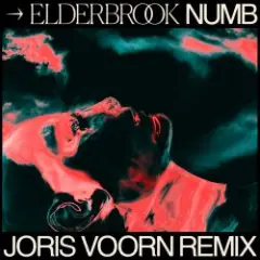 Обложка трека Numb (Joris Voorn Remix)