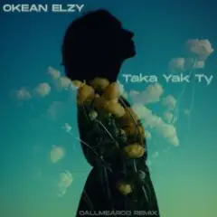 Обложка трека Taka Yak Ty (Callmearco Remix)