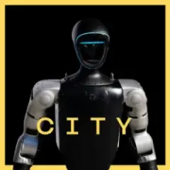 LATEXFAUNA — City