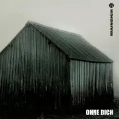 Обложка трека Ohne Dich