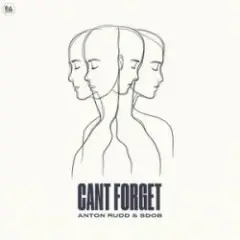Обложка трека Cant Forget