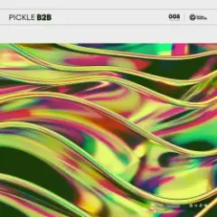 Pickle — B2B