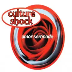 Обложка трека Amor Serenade (Radio Mix)
