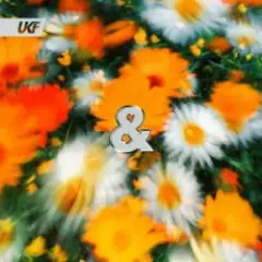 Обложка трека Peace of Mind