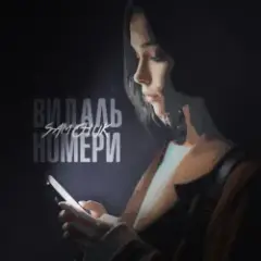 Обложка трека ВИДАЛЬ НОМЕРИ