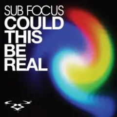 Обложка трека Could This Be Real (D'N'B Remix)