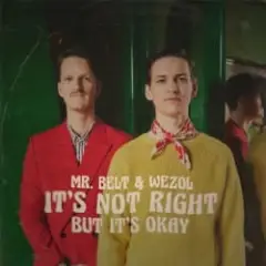 Обложка трека It's Not Right (But It's Ok)