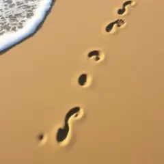 Следы на песке