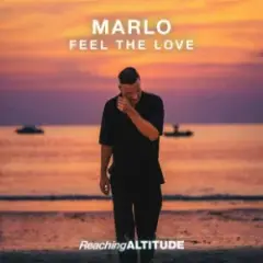 Обложка трека Feel the Love