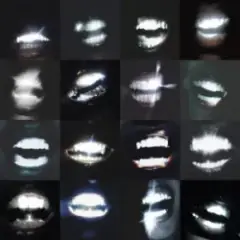 Metallic Lips
