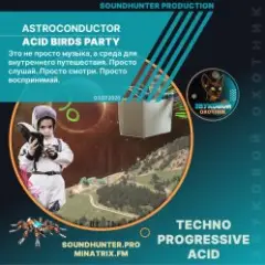 Обложка трека Acid Birds Party