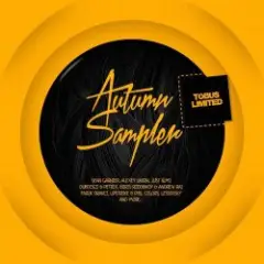 work (andrew rai original mix)