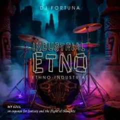 Обложка трека INDUSTRIAL ETNO 2