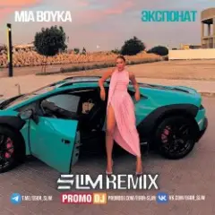 Экспонат (Slim Remix)