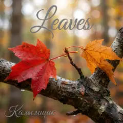 Обложка трека Leaves
