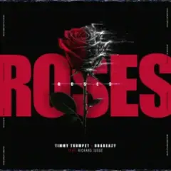 Обложка трека Roses