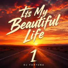 Its My Beautiful Life 1