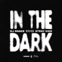DJ Snake & Stray Kids — In The Dark