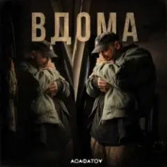 Обложка трека ВДОМА