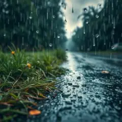 Обложка трека Дыхание дождя