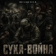 Обложка трека СУКА-ВОЙНА