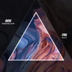Обложка трека Innerbloom (CYRIL Remix)