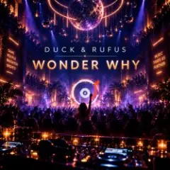 Обложка трека Wonder Why