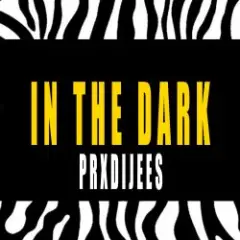 Обложка трека IN THE DARK